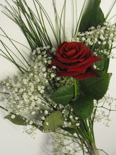 Blumenstrauss zum Valentinstag , "Valentins-Rose"