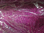 Sisal pink Feenhaar-Sisal Flachshaar 50 g