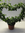 Efeu-Herz,groß,Ø ca. 40cm,sehr dekorativ