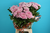 Chrysanthemen,rosa,10 Stiele ,70cm