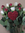 Blumenstrauss zum Valentinstag , "Valentins-Rosen-Rot-Weiss"