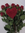 Blumenstrauss zum Valentinstag ,"Valentins-Rosen-Rot"