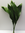 Aspedistra-Blätter,grün,10 Stück,60cm lang