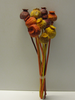 Mohn mit Stiel,gemischt,rot,orange,sand-gelb,getrocknet,10 Stück im Bund,ca.35 cm lang,Bundware