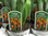 Tulpen im Topf,orange,mehrere Zwiebeln pro Topf,1 Topf