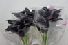 Calla,lila-schwarz,5 Stück,Länge ca.60 cm