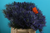 Disteln blau,grossblütig,Eryngium Donard Variety,Bundware,5 Stiele