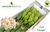 Amaryllis,Hippeastrum,Ritterstern,gefüllt,zweifarbig,3 Stiele a 4 Blüten,70-80 cm, beste Qualität