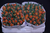 Tulpen,orange,gefüllt,30 Stück