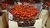 Rosen-Fruchtstände,hipp-hopp,10 Stiele,40-50cm